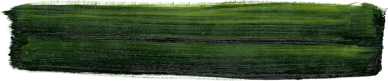 Schmincke – MUSSINI®, finest artists’ resin oil colors, lamp black – 35 ml(526 sap green)