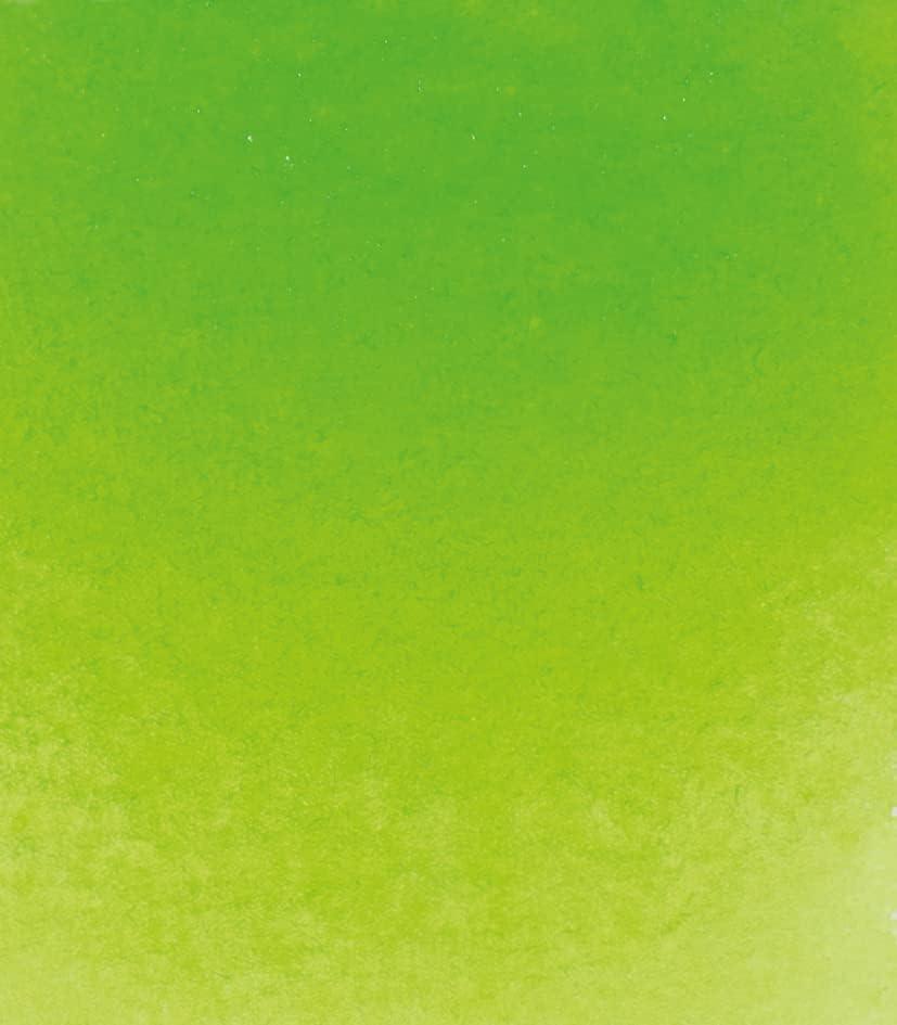 Schmincke Norma Professional 35 ml Paint, Opaque White (11116009)(May Green)