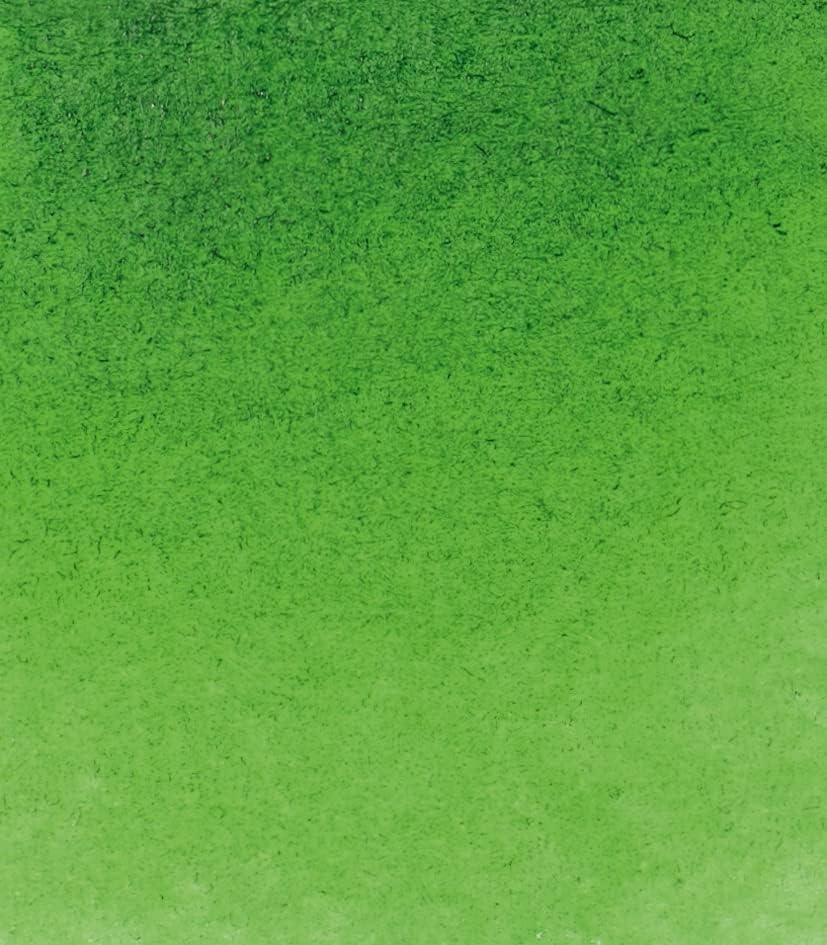 Schmincke – HORADAM® AQUARELL – Finest Artists’ Watercolors, 356 Rose Madder, 14 356 044, 1/2 pan(530 Sap Green)