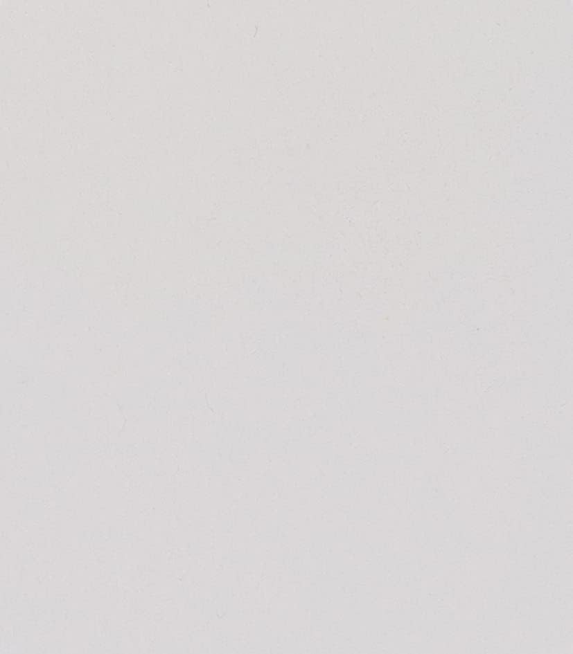 Schmincke – HORADAM® AQUARELL – Finest Artists’ Watercolors, 356 Rose Madder, 14 356 044, 1/2 pan(101 titanium opaque white)