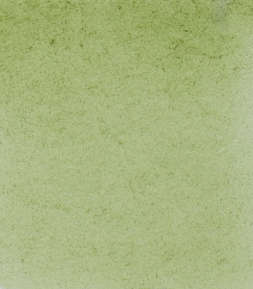 Schmincke – HORADAM® AQUARELL – finest artists’ watercolours, vanadium yellow – 15 ml(516 green earth)
