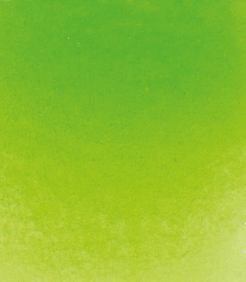 Schmincke – HORADAM® AQUARELL – Finest Artists’ Watercolors, 356 Rose Madder, 14 356 044, 1/2 pan(524 May Green)