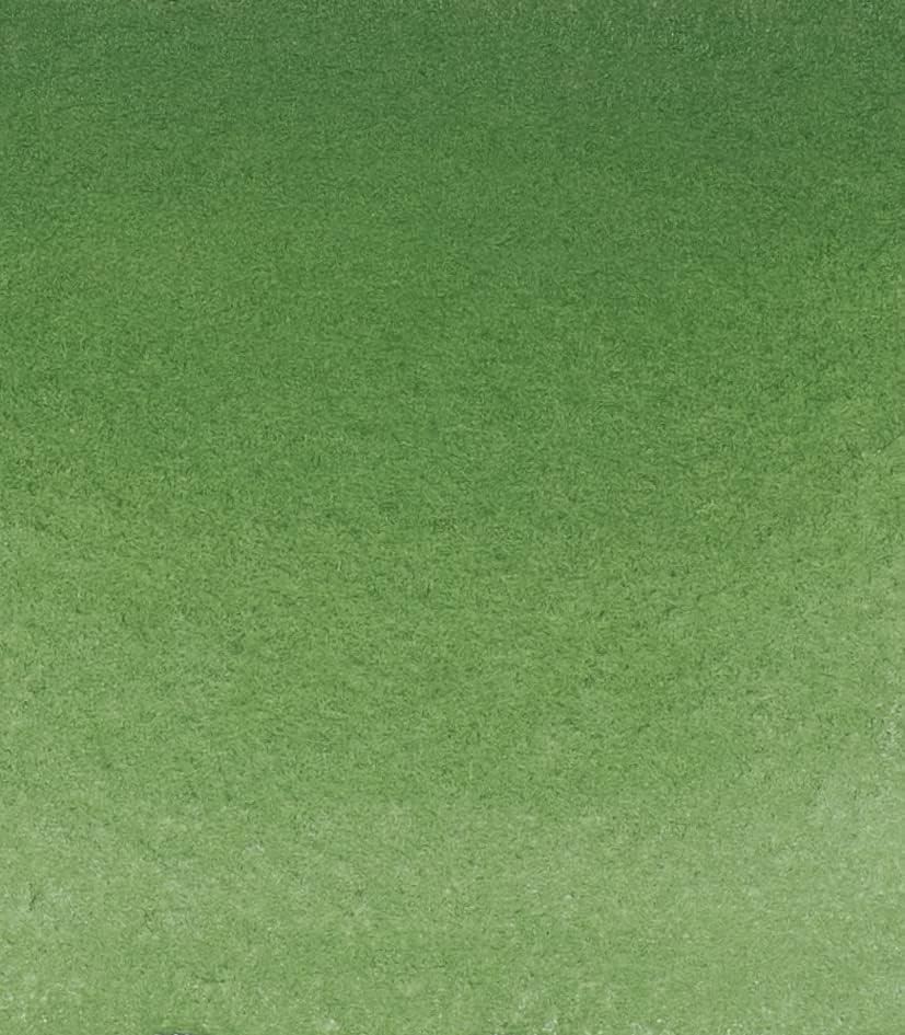 Schmincke – HORADAM® AQUARELL – Finest Artists’ Watercolors, 356 Rose Madder, 14 356 044, 1/2 pan(512 Chromium Oxide Green)