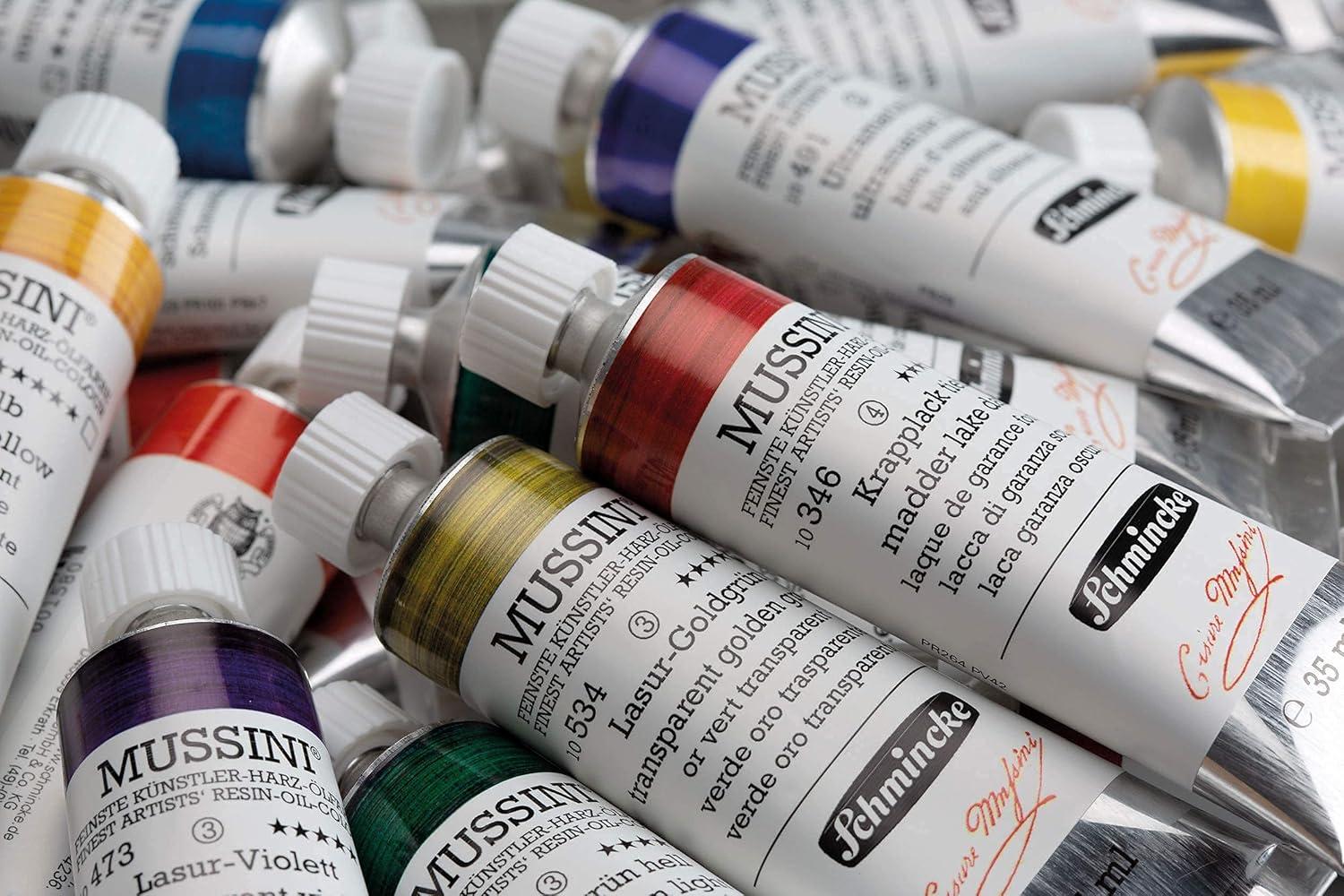 Schmincke – MUSSINI® Finest Resin Oil Colors Premium Wooden Box Oil Painting, 15 x 35 ml Set, 70 615 097,White 150 ml, Terpin, Palette Plug, 3 Brushes, Palette Knife, etc.(10 x 35 ml + accessories)