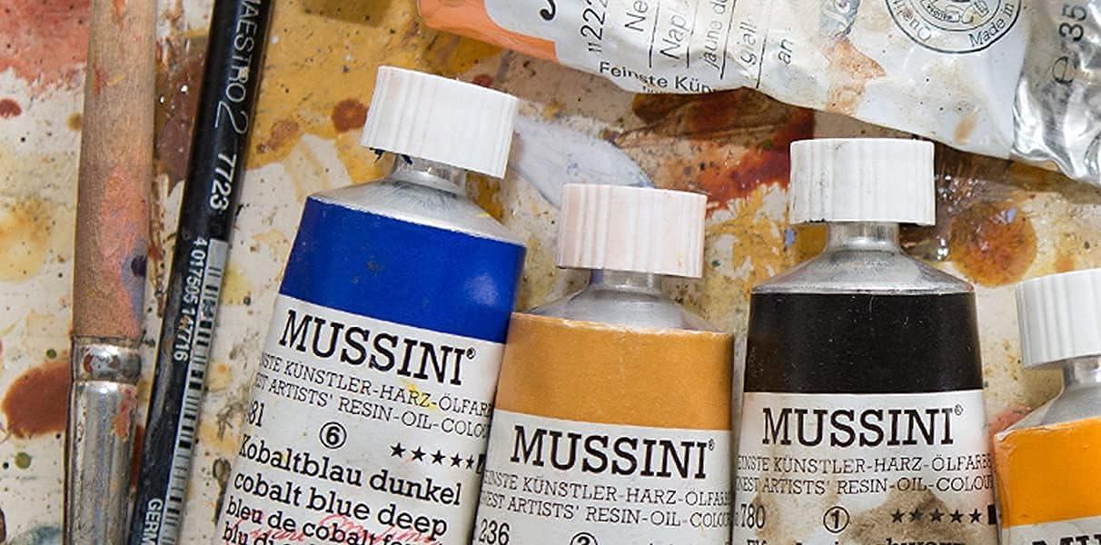 Schmincke – MUSSINI® Finest Resin Oil Colors Premium Wooden Box Oil Painting, 15 x 35 ml Set, 70 615 097,White 150 ml, Terpin, Palette Plug, 3 Brushes, Palette Knife, etc.(10 x 35 ml + accessories)