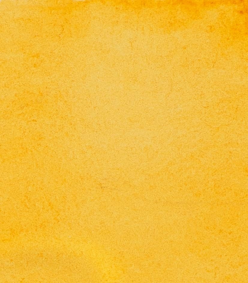 Schmincke – HORADAM® AQUARELL – Finest Artists’ Watercolors, 356 Rose Madder, 14 356 044, 1/2 pan(657 Transparent Ochre)